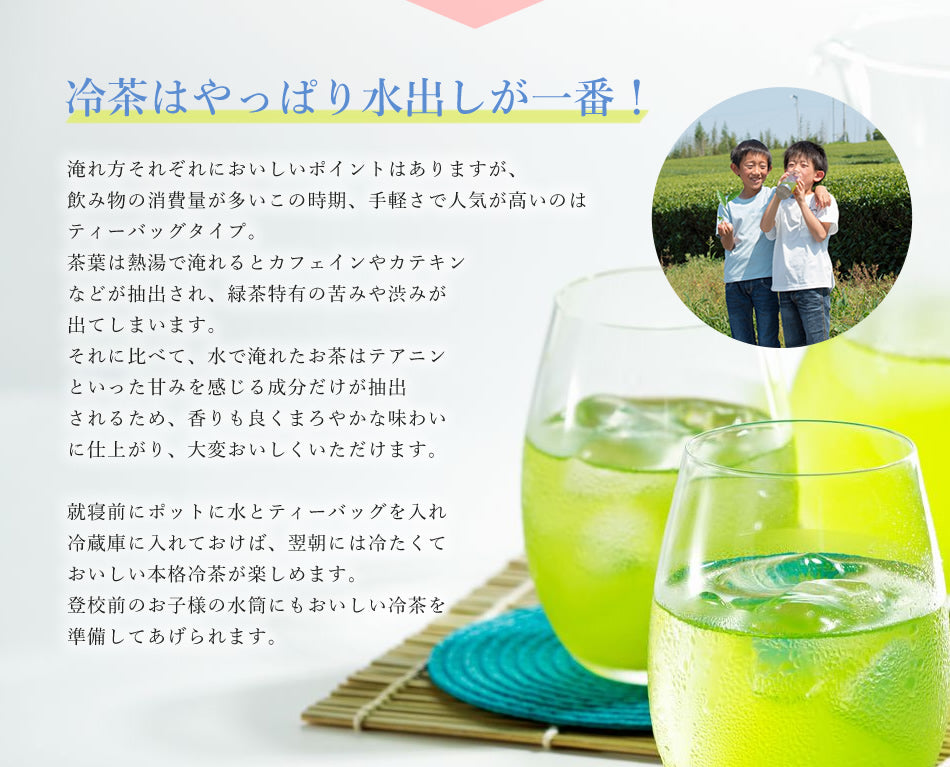【冷熱皆宜】日本直送。牛島製茶 濃味特上茶包 50個家庭裝